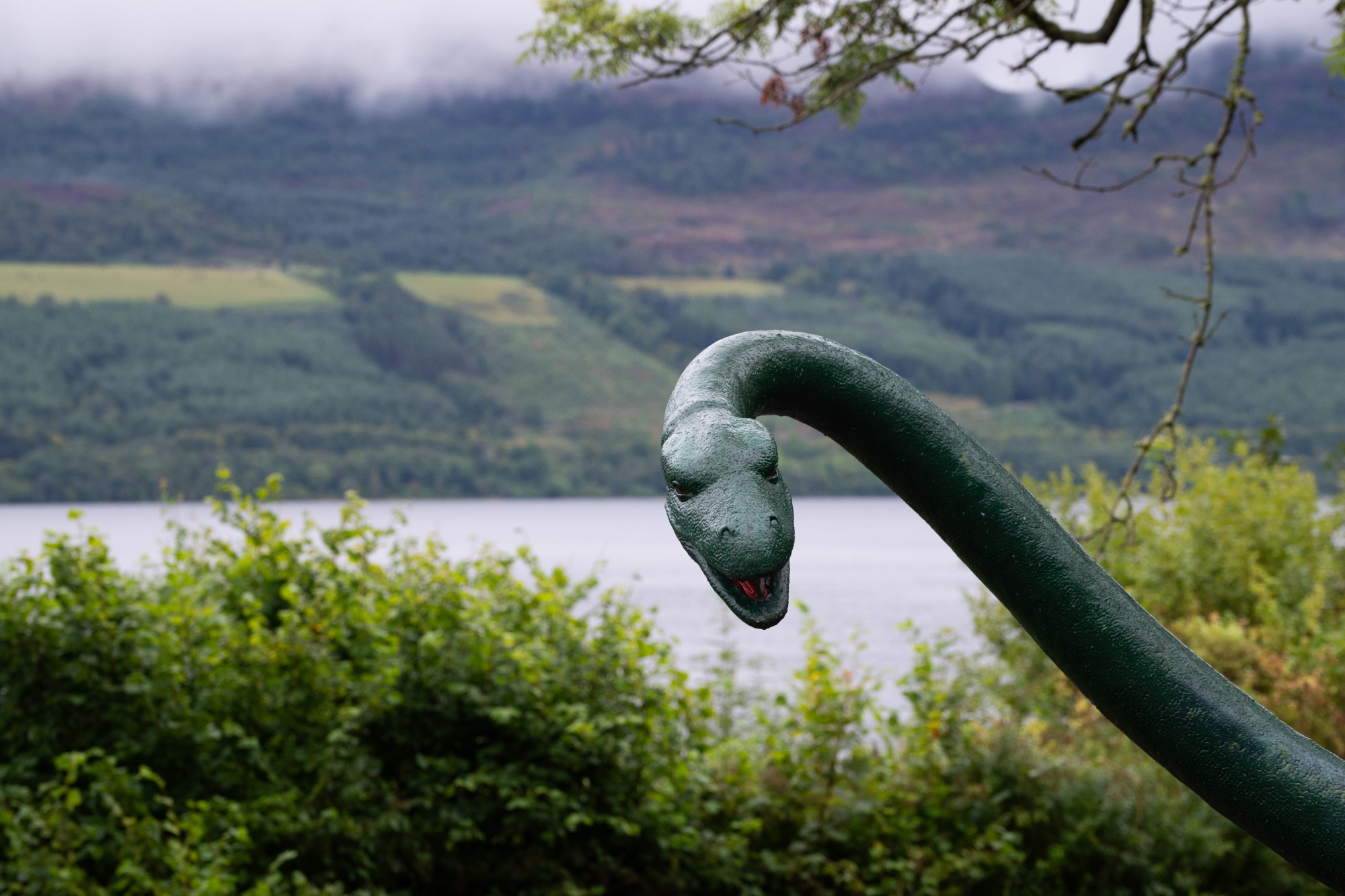 View of Loch Ness © Alison White Photography